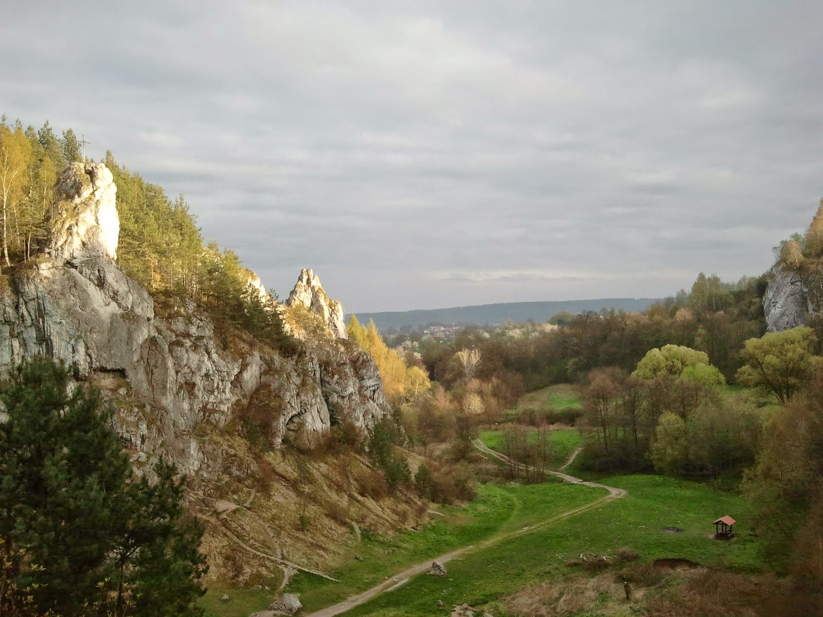 wycinka kobylanskiej