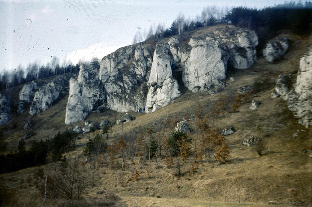 0102 zjazdowa i p yta myskowskiego