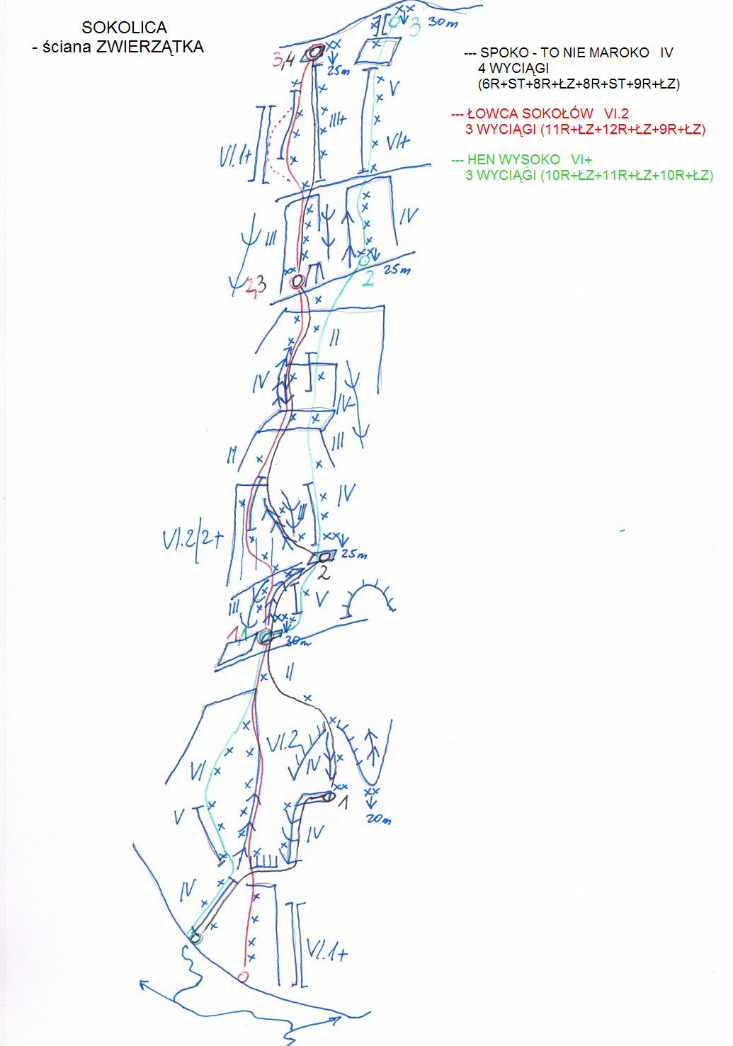 Sokolica topo lewa cz