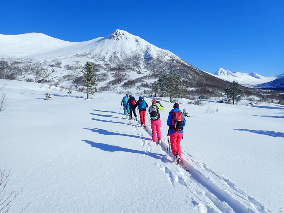 54354020 2368219063406317 5087974934953590784 n