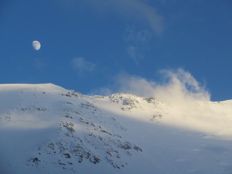 11060036 1055860297759336 458565416785907095 o