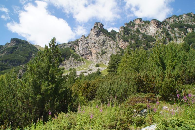 zdj. 28 Widok ze schoniska na rejon