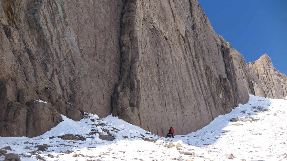 pod zacieciem Polakow