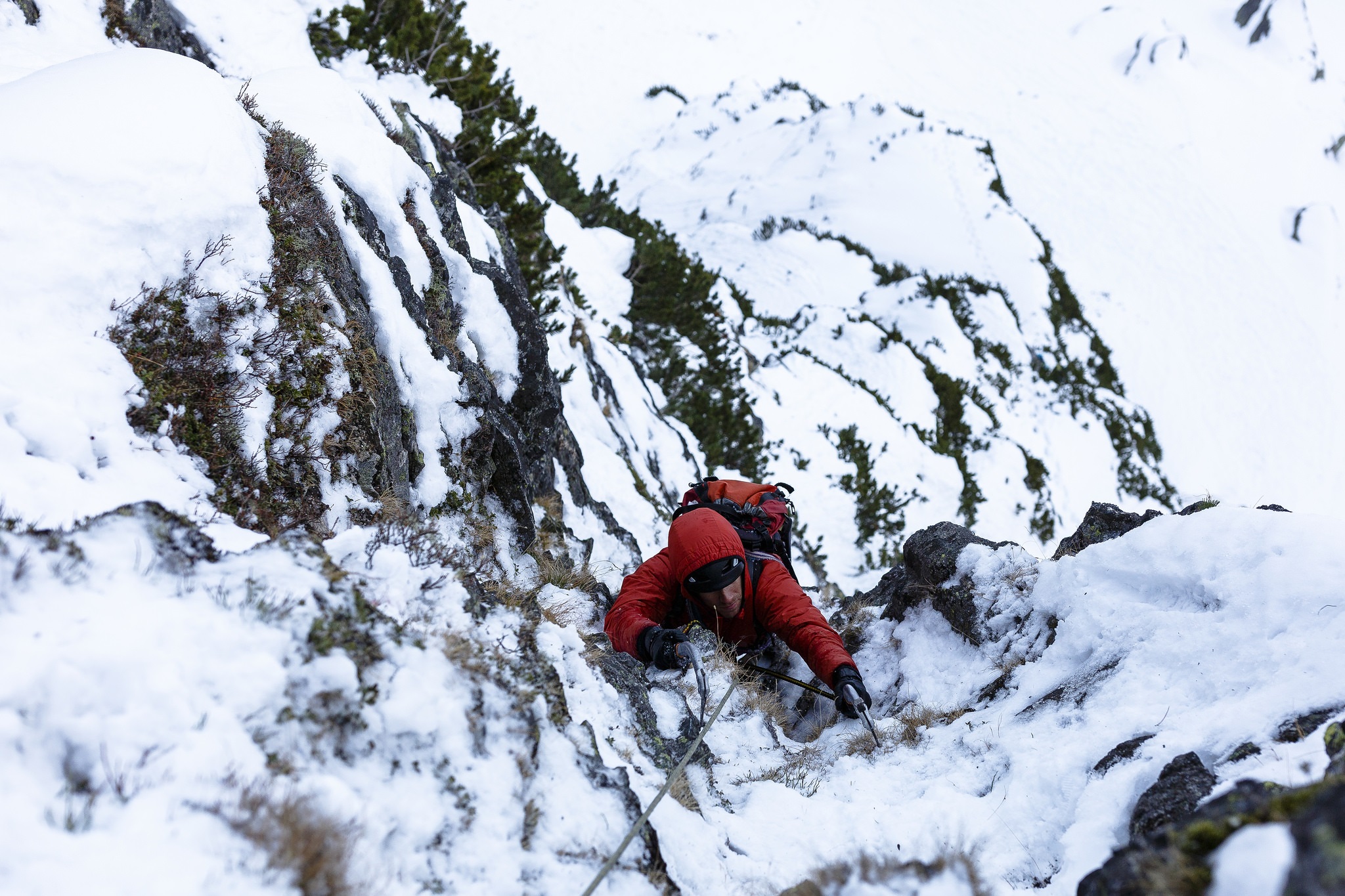 24810888898 cb4a6e38d2 k