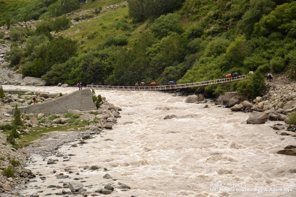 Ostatni most na rzece Miyar